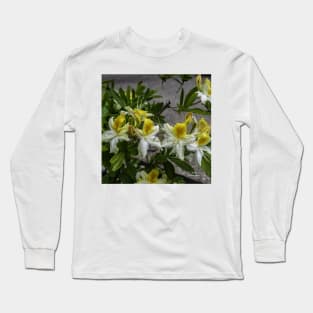 Azaleas in Bloom Long Sleeve T-Shirt